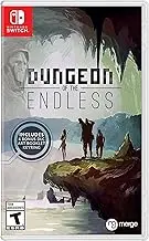 Dungeon of the Endless Nintendo Switch okładka gry