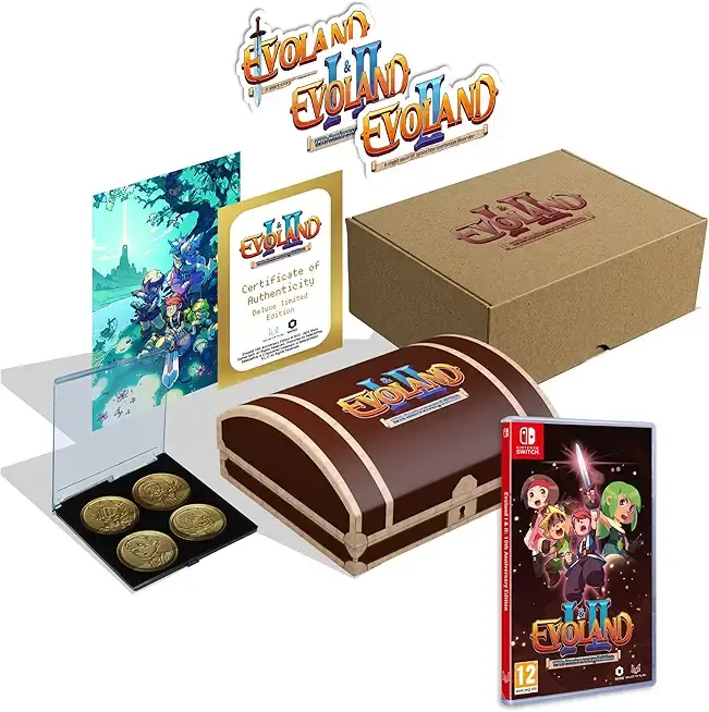 Evoland 10th Anniversary Edition Nintendo Switch okładka gry