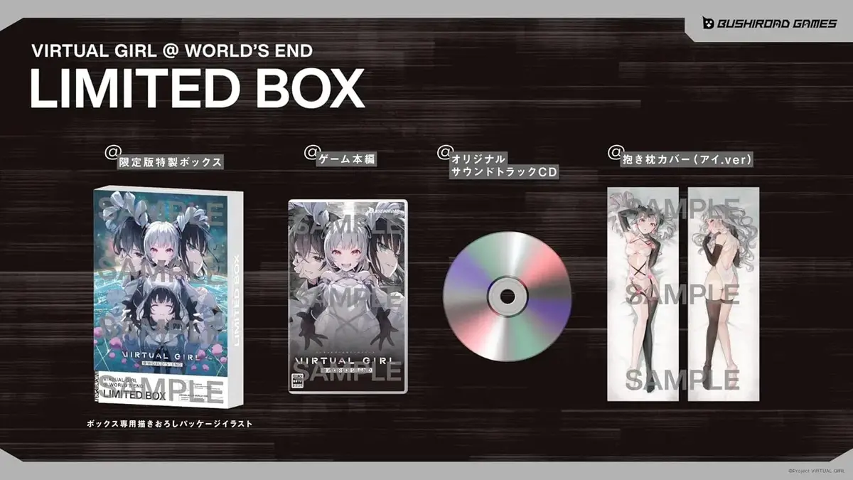 Virtual Girl @ World's End Limited Edition Nintendo Switch okładka gry