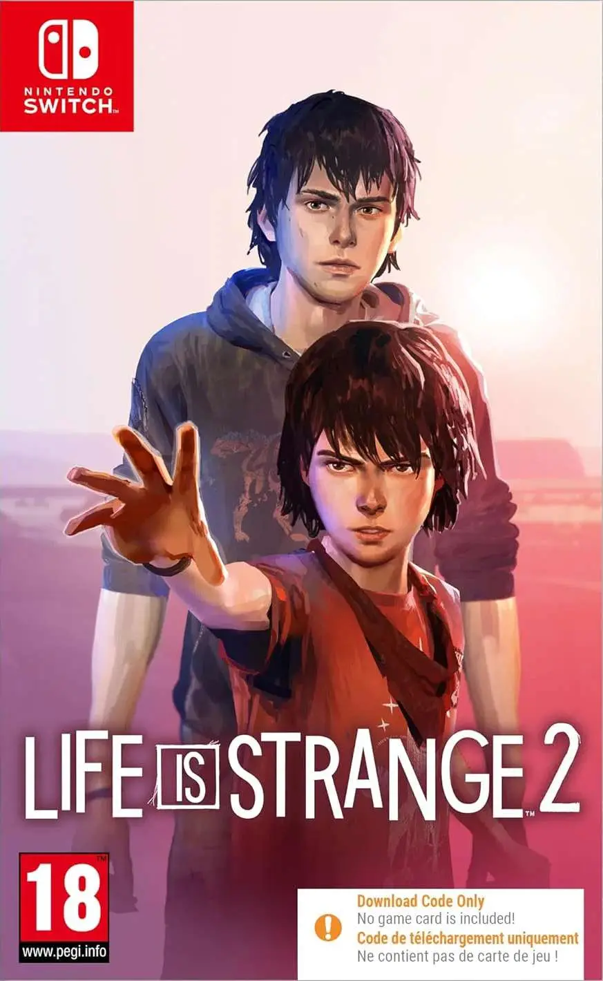 Life is Strange 2 Nintendo Switch okładka gry
