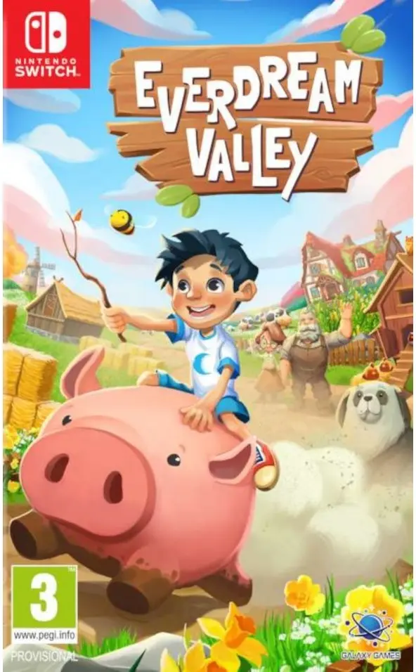 Okładka gry Everdream Valley na Nintendo Switch - najlepsza oferta