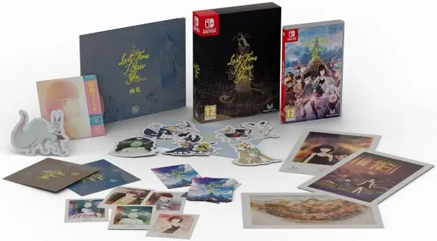 Last Time I Saw You Special Edition Nintendo Switch okładka gry