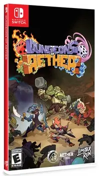 Dungeons of Aether Nintendo Switch okładka gry