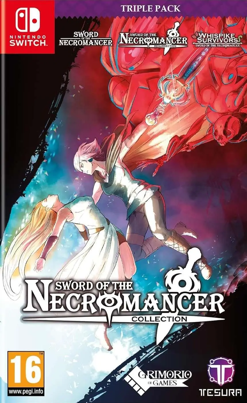Sword of the Necromancer: Resurrection Nintendo Switch okładka gry