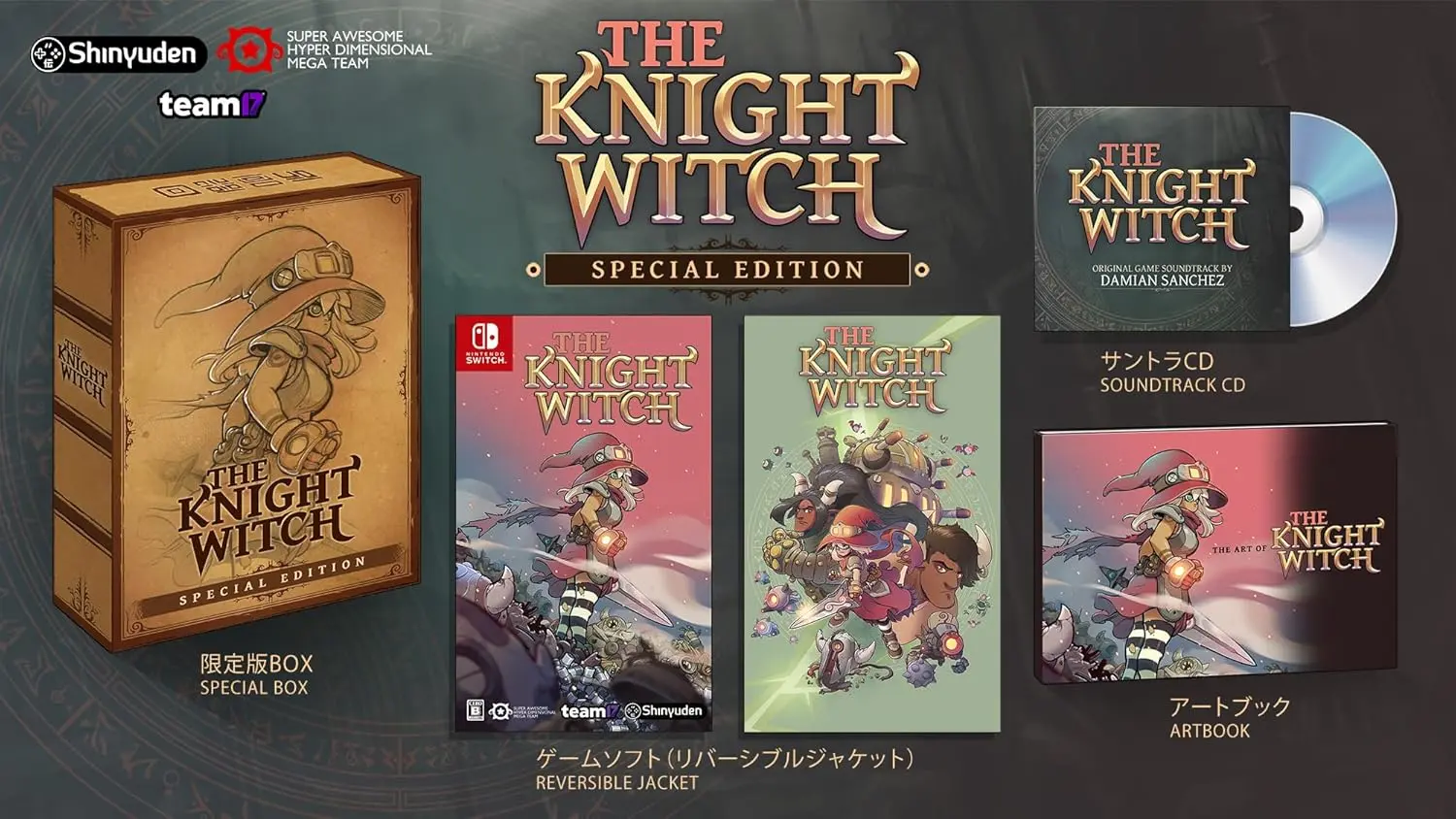 The Knight Witch Special Edition Nintendo Switch okładka gry