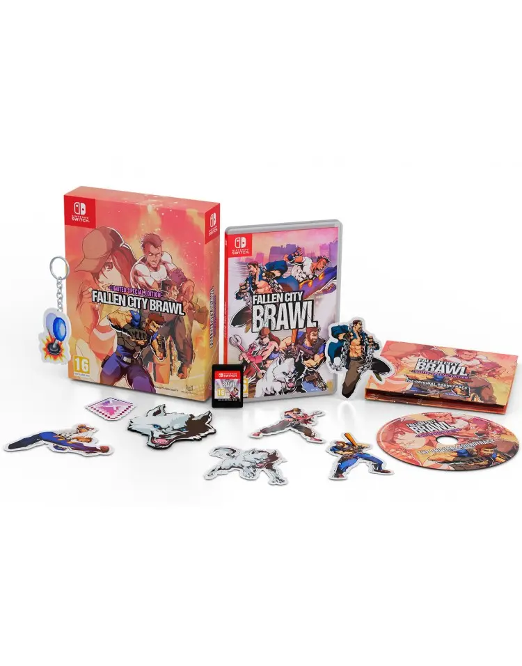 Fallen City Brawl Special Edition Nintendo Switch okładka gry