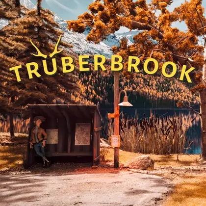 Trüberbrook Nintendo Switch okładka gry