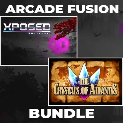 Arcade Fusion Bundle Nintendo Switch okładka gry
