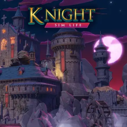 Knight Sim Life Nintendo Switch okładka gry