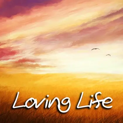 Loving Life Nintendo Switch okładka gry