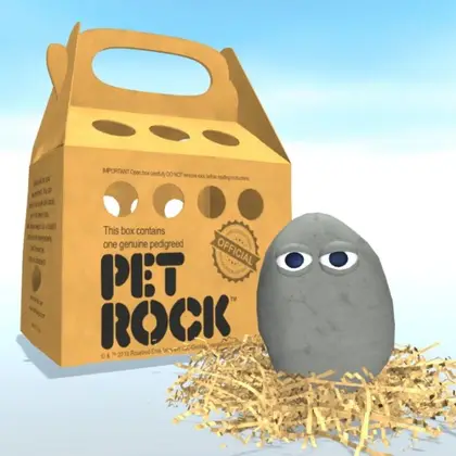 Pet Rock Nintendo Switch okładka gry