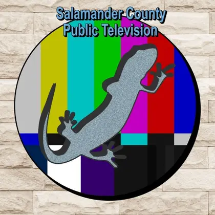 Salamander County Public Television Nintendo Switch okładka gry