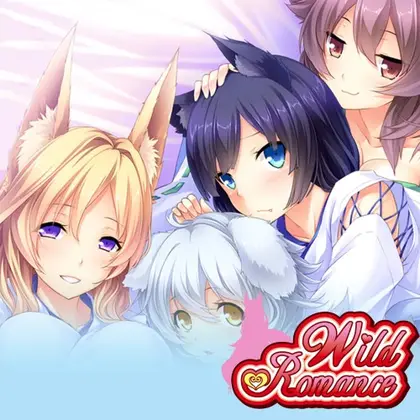 Wild Romance Nintendo Switch okładka gry