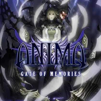 Anima: Gate of Memories Nintendo Switch okładka gry