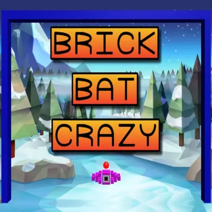 Brick Bat Crazy Nintendo Switch okładka gry