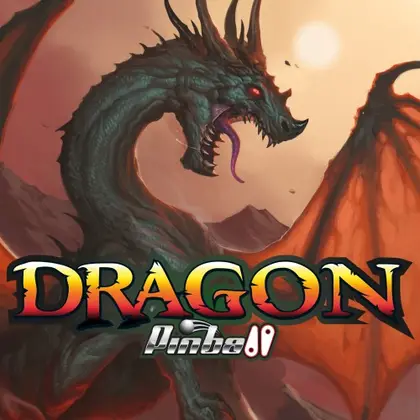 Dragon Pinball Nintendo Switch okładka gry