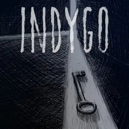 Indygo Nintendo Switch okładka gry