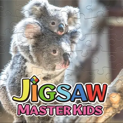 JIGSAW MASTER KIDS Nintendo Switch okładka gry