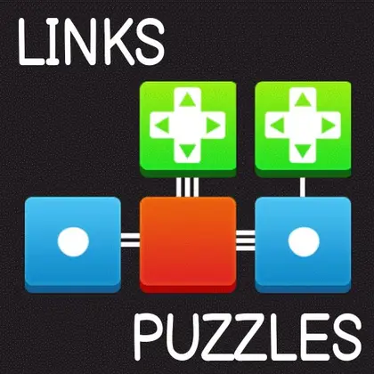 Links Puzzle Nintendo Switch okładka gry