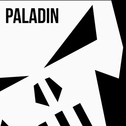 Paladin Nintendo Switch okładka gry
