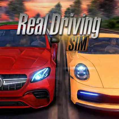 Real Driving Sim Nintendo Switch okładka gry