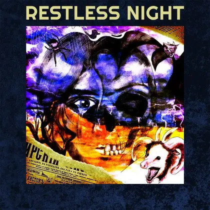 Restless Night Nintendo Switch okładka gry