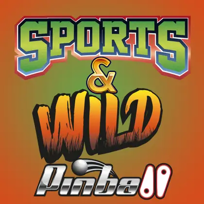 Sports & Wild Pinball Nintendo Switch okładka gry