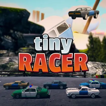 Tiny Racer Nintendo Switch okładka gry