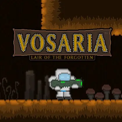 Vosaria: Lair of the Forgotten Nintendo Switch okładka gry