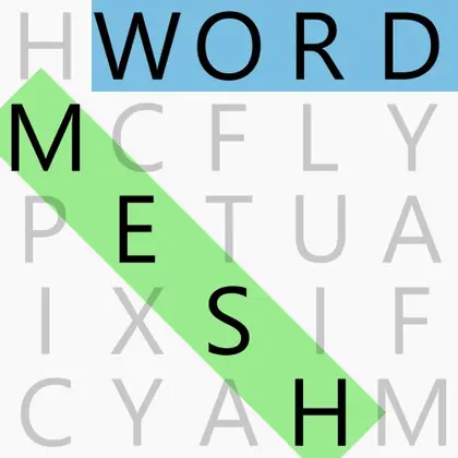 Word Mesh Nintendo Switch okładka gry