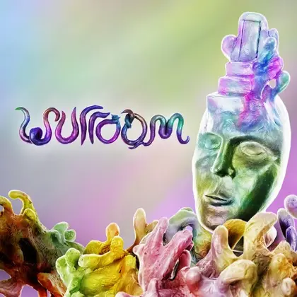 Wurroom Nintendo Switch okładka gry