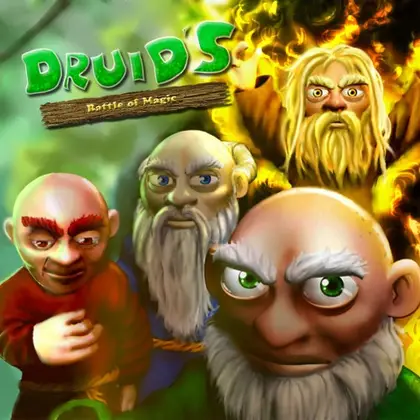 Druids: Battle of Magic Nintendo Switch okładka gry