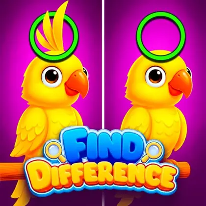 Find Difference Nintendo Switch okładka gry