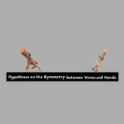 Hypotheses on the Symmetry between Vision and Hands Nintendo Switch okładka gry