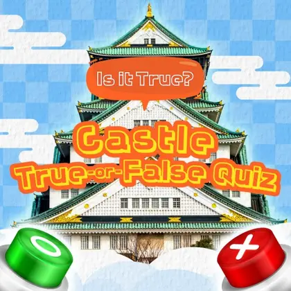 Is it True? Castle True-or-False Quiz Nintendo Switch okładka gry