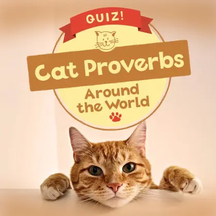 QUIZ! Cat Proverbs Around the World Nintendo Switch okładka gry