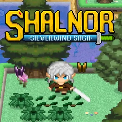 Shalnor: Silverwind Saga Nintendo Switch okładka gry