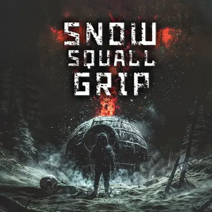 Snow Squall Grip Nintendo Switch okładka gry
