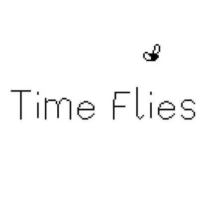 Time Flies Nintendo Switch okładka gry
