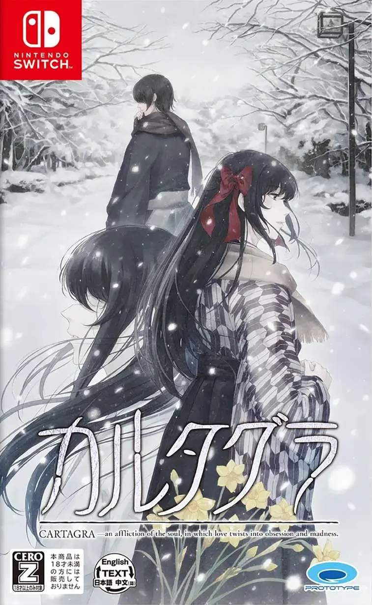 CARTAGRA: The Sickness of Possessory and Crazy Nintendo Switch okładka gry